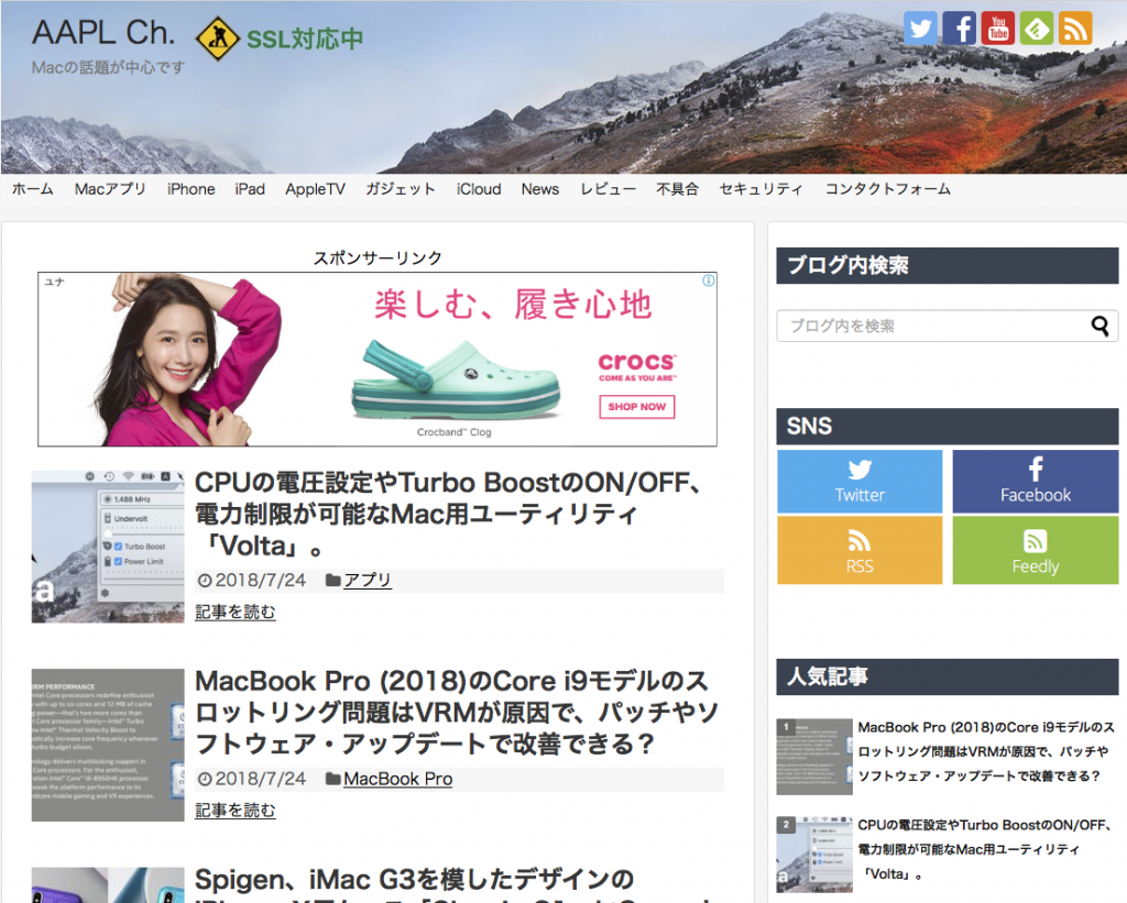 aaplechサイト画像