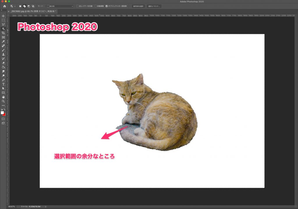 Photoshop 2020 自動選択精度の違い 被写体猫