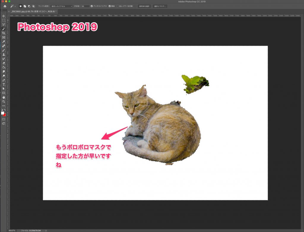 Photoshop 2019 自動選択精度の違い 被写体猫