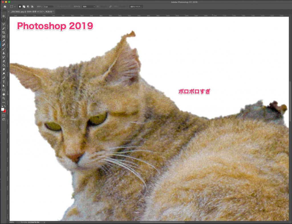 Photoshop 2019 自動選択精度の違い 被写体猫